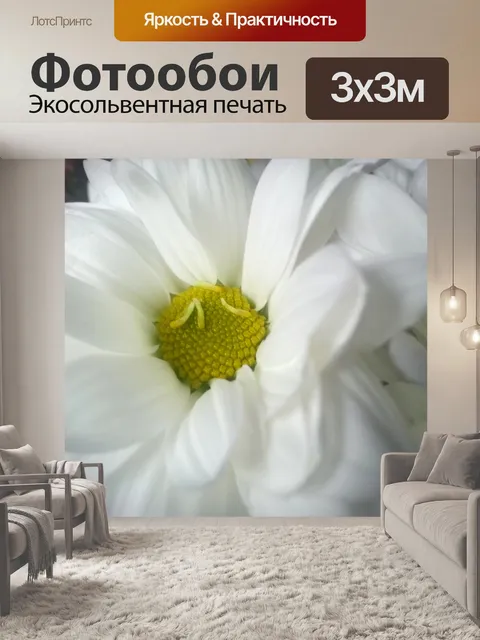 Фотообои Белый цветок