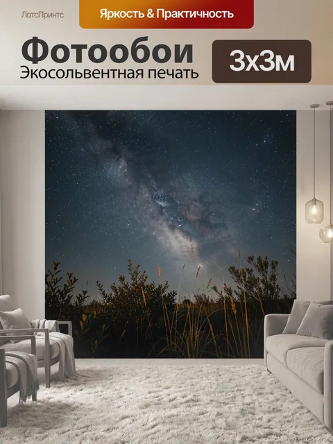 Фотообои Звездное небо над травами