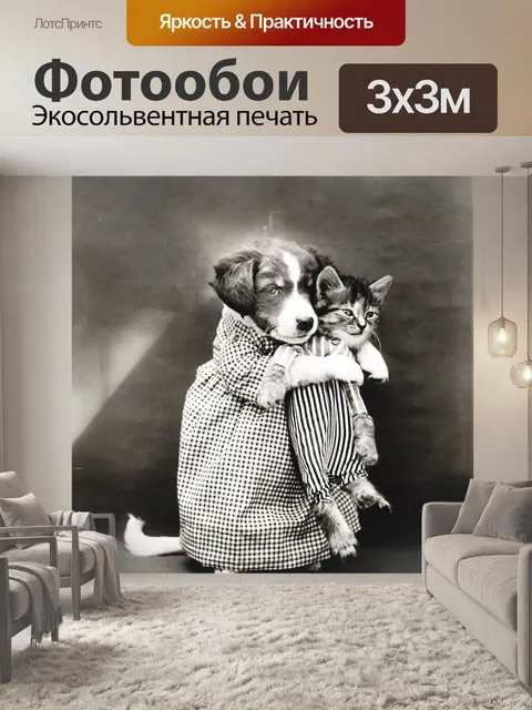 Фотообои Кошка Одетая Винтаж Фото