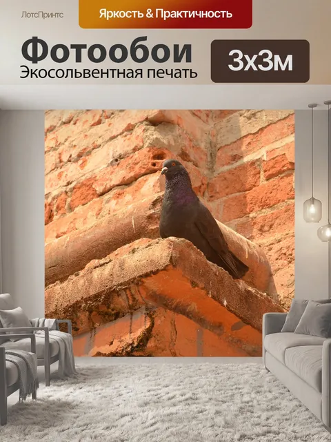 Фотообои Палома