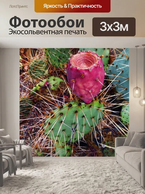 Фотообои кактус опунция