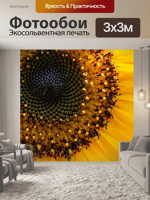 Фотообои Подсолнечник