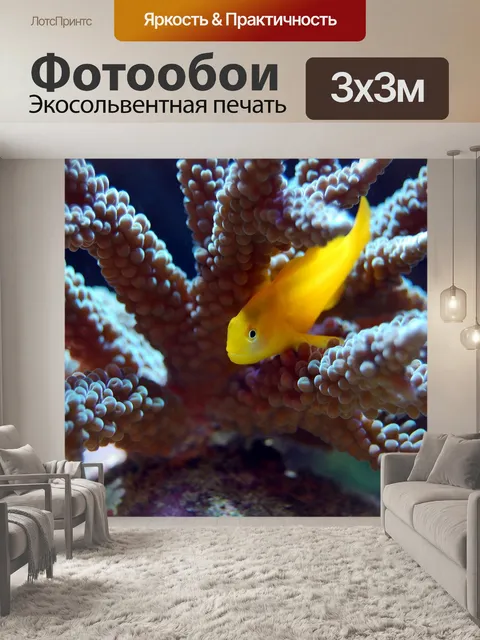 Фотообои Коралл