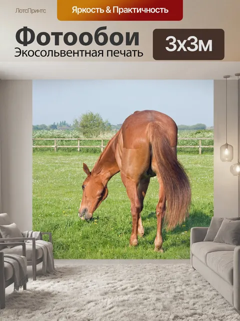 Фотообои Выпас лошадей