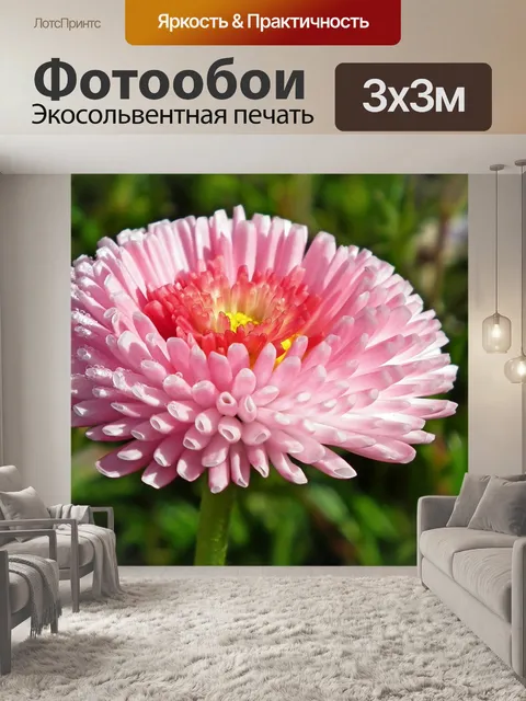Фотообои Дейзи