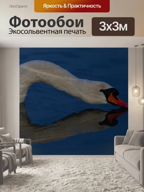 Фотообои Лебедь
