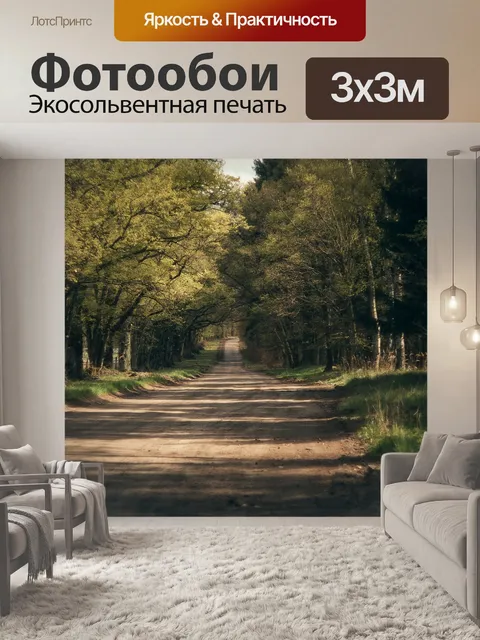 Фотообои Путь
