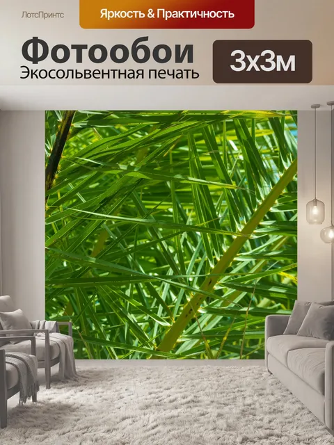 Фотообои Пальмовое дерево оставляет фон