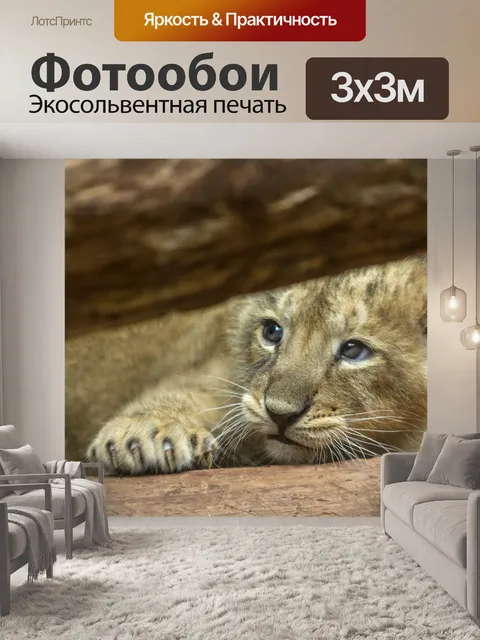 Фотообои Дракончик