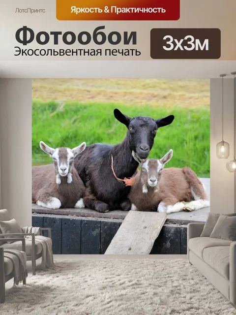 Фотообои Козел