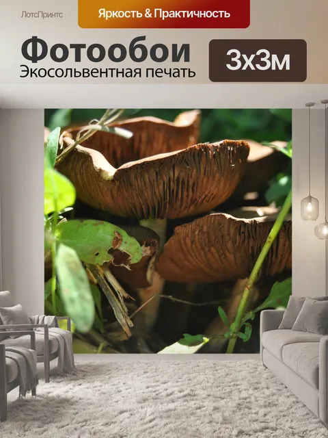 Фотообои Природа