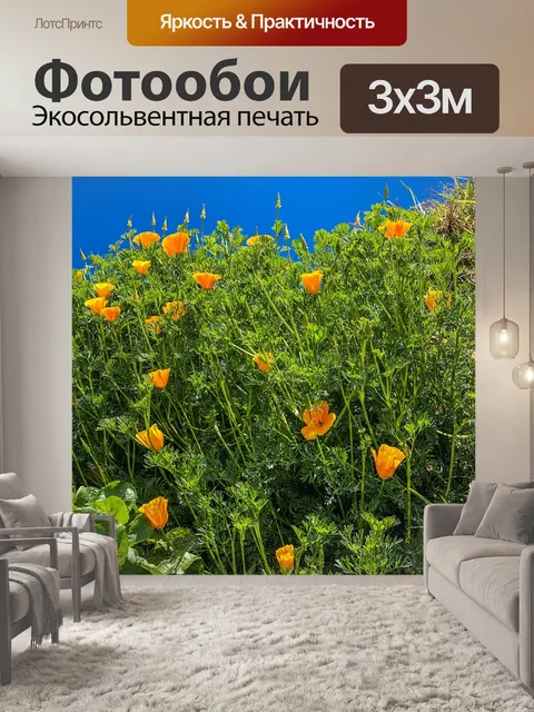Фотообои Пляж