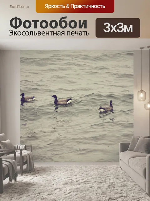 Фотообои Дикие гуси на воде