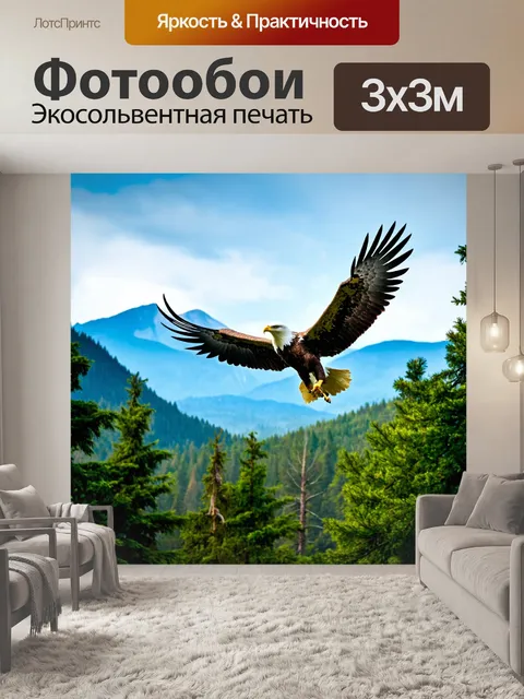 Фотообои парящий орел, горы на горизонте, величественная природа