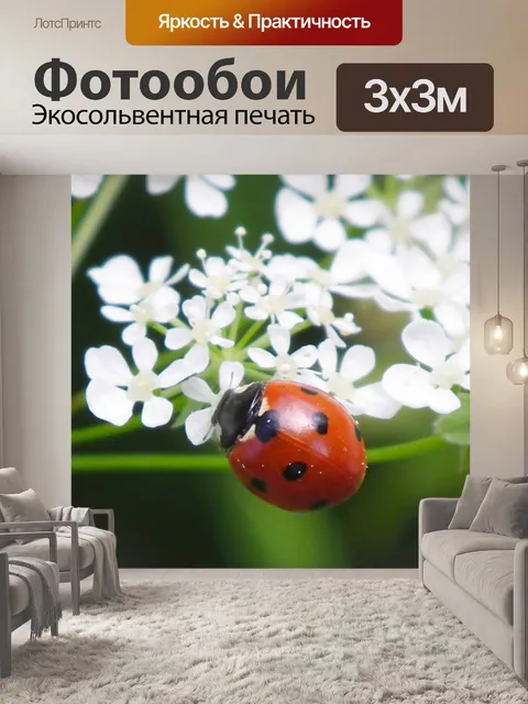 Фотообои Божья коровка