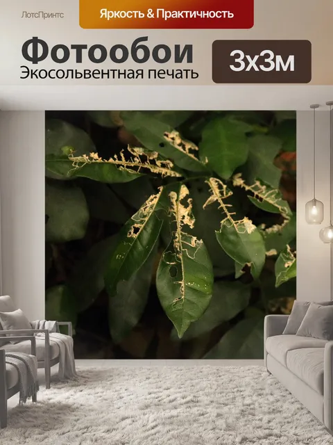Фотообои съеденный насекомыми лист