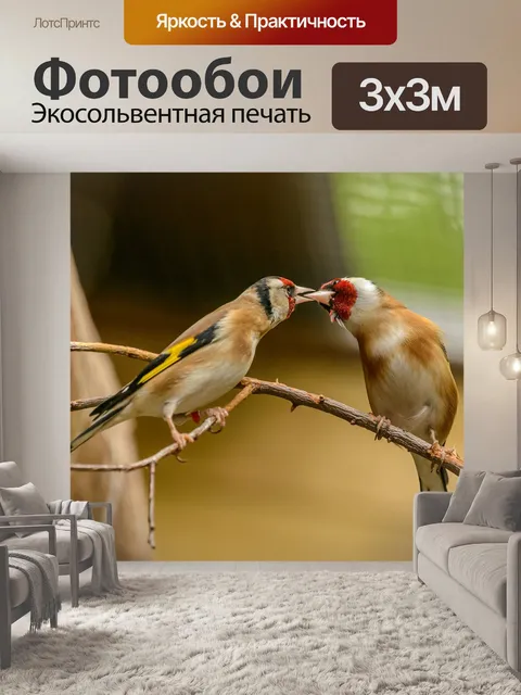 Фотообои Щегол