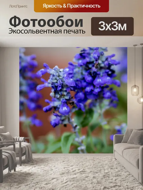 Фотообои Цветок
