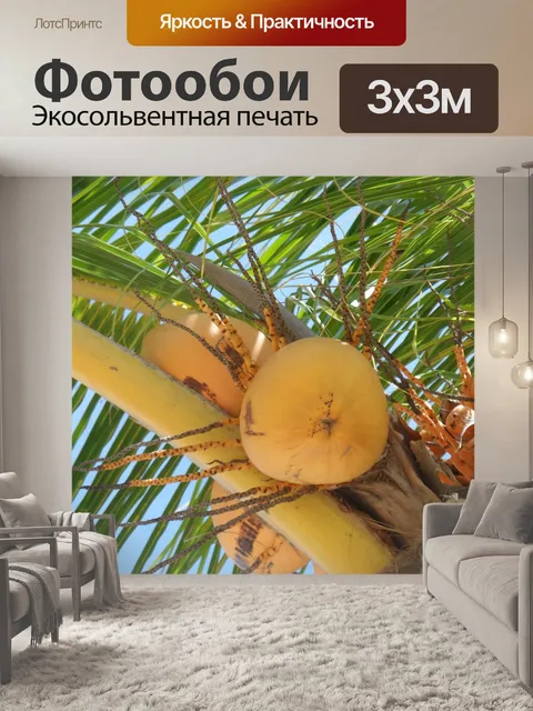 Фотообои Тропический