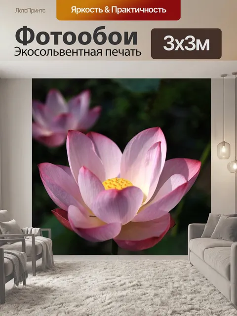 Фотообои Lotus