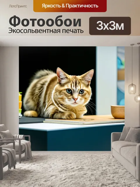 Фотообои кот-дизайнер, работающий с экологическими материалами, создает курорты в своём офисе
