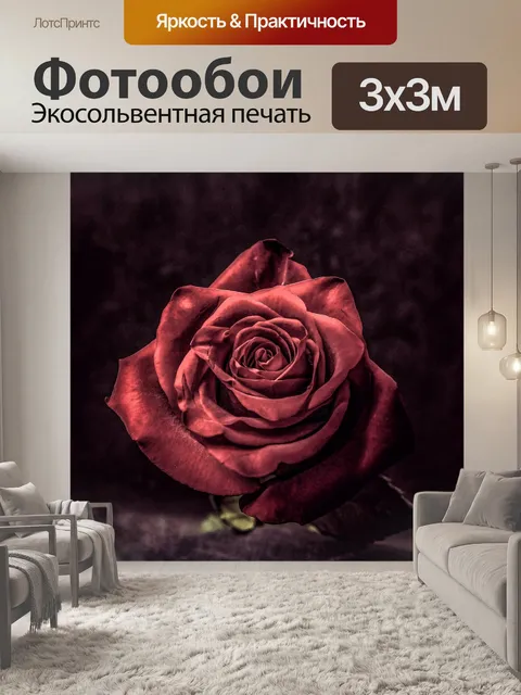 Фотообои Роза