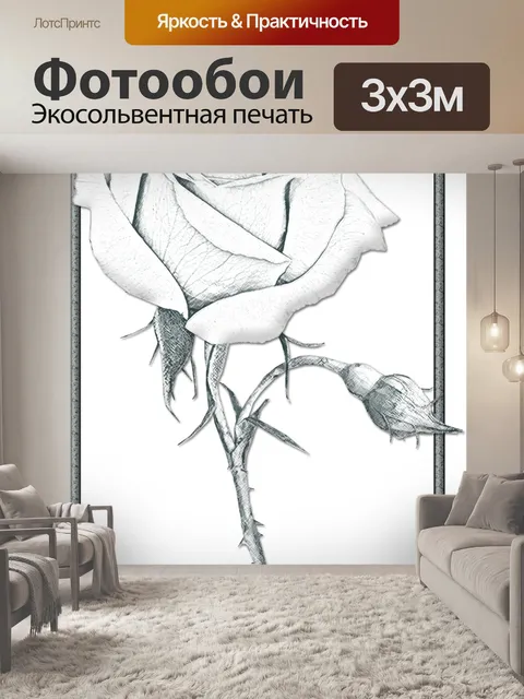 Фотообои Серая роза