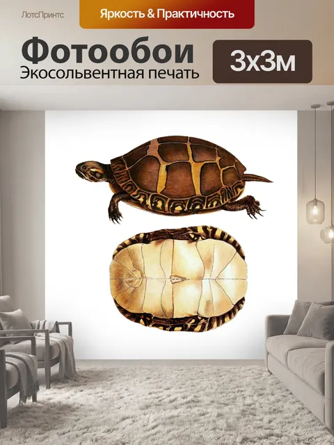 Фотообои Винтаж искусство черепахи клипарт