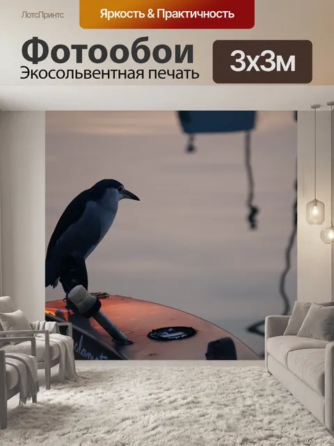 Фотообои Птица