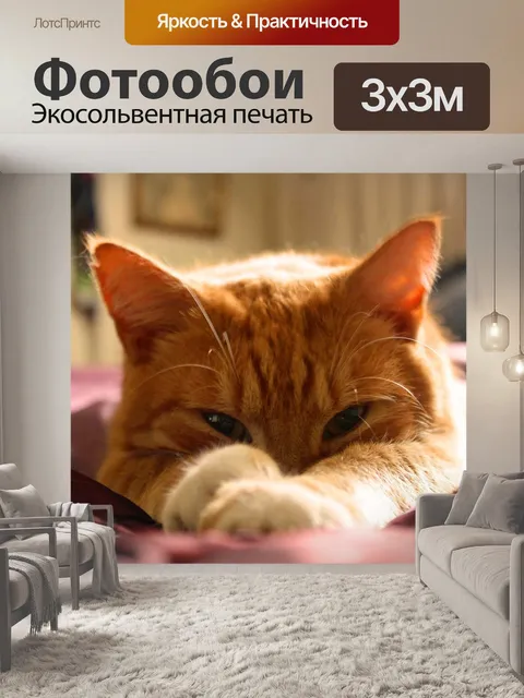 Фотообои Кошка