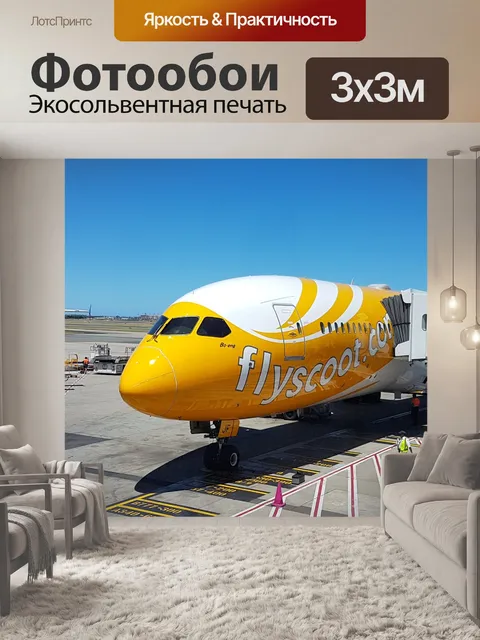 Фотообои Flyscoot