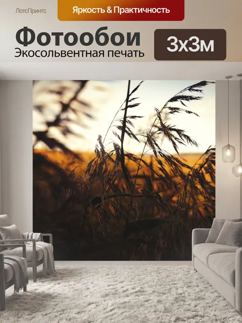 Фотообои Закат