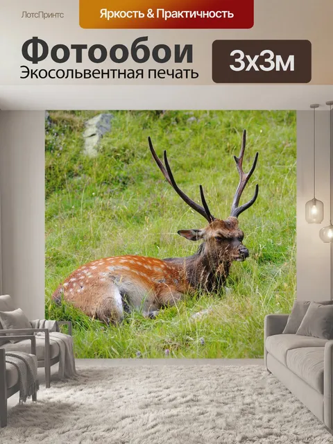 Фотообои Замша