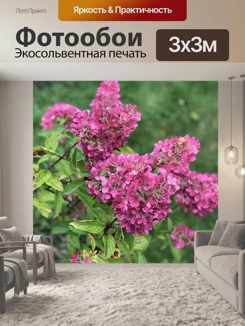 Фотообои Цветы