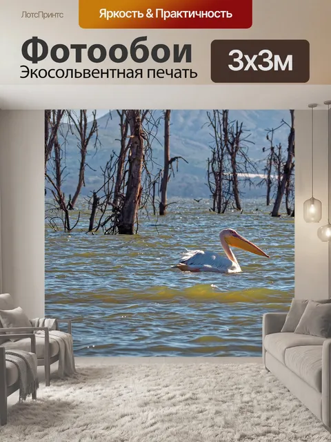 Фотообои Пеликан