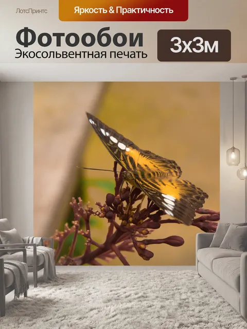 Фотообои бабочка