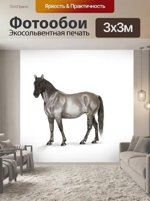Фотообои Лошадь