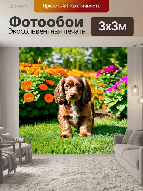 Фотообои в цветущем саду, окруженном яркими цветами и зелеными кустами, кокер-спаниель исследует новые ароматы