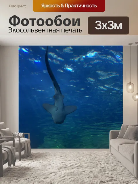 Фотообои Акула
