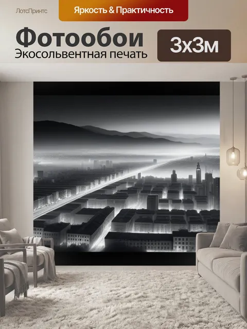 Фотообои пейзаж с видом города чернобелый