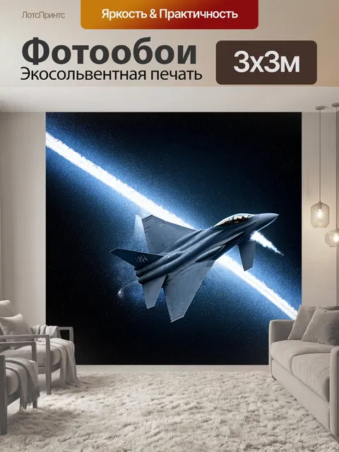 Фотообои создайте мощный образ истребителя