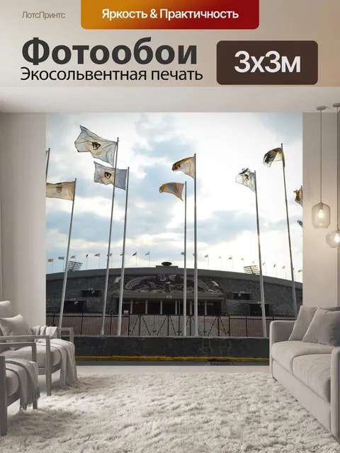Фотообои Стадион