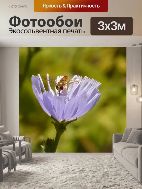 Фотообои Зимний парящий полет