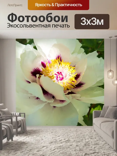 Фотообои Пион