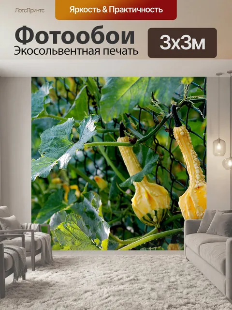 Фотообои Фрукты