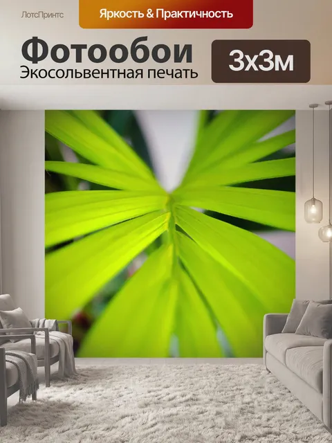 Фотообои Листьях растений