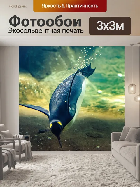 Фотообои Пингвин