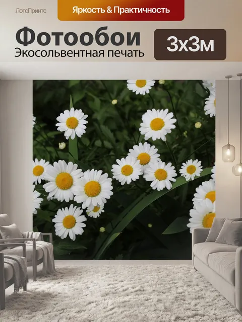 Фотообои Белые ромашки