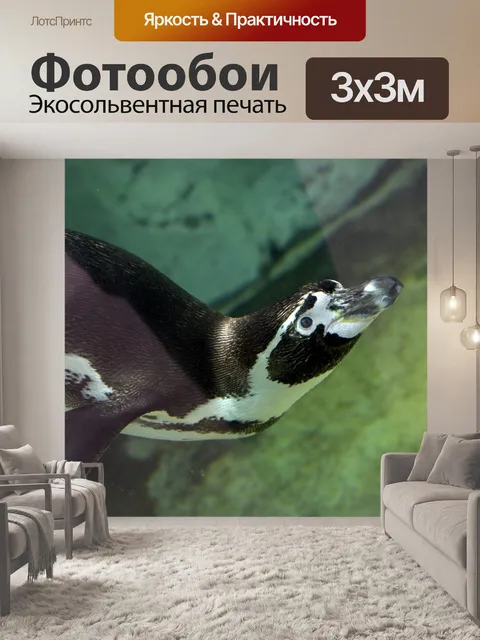 Фотообои Пингвин