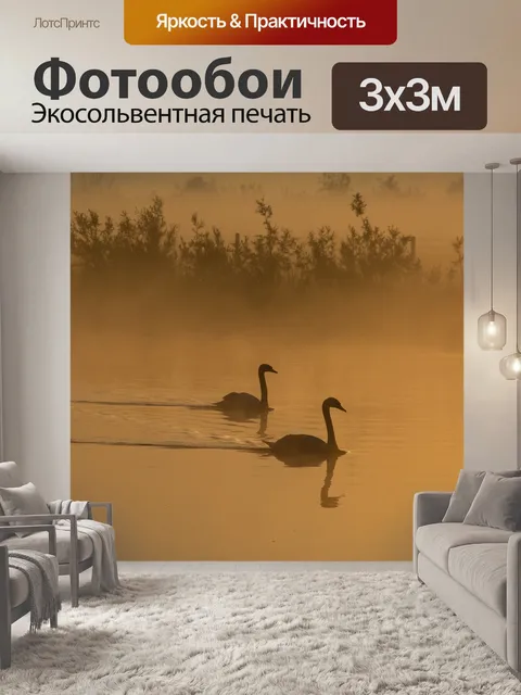 Фотообои Лебеди на озере мисти